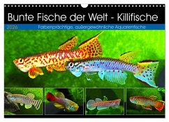 Cover Bunte Fische der Welt - Killifische (Wandkalender 2026 DIN A3 quer), CALVENDO Monatskalender