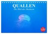 Quallen. Die Welt der Medusen... - Bild 1