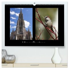Cover Ulmer Spatzen (hochwertiger Premium Wandkalender 2026 DIN A2 quer), Kunstdruck in Hochglanz