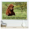 Das Schottische Hochlandrind... - Bild 1