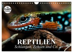 Reptilien. Schlangen, Echsen und Co. (Wandkalender 2026 DIN A4 quer), CALVENDO Monatskalender