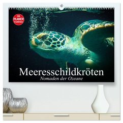 Cover Meeresschildkröten. Nomaden der Ozeane (hochwertiger Premium Wandkalender 2026 DIN A2 quer), Kunstdruck in Hochglanz