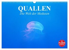 Cover Quallen. Die Welt der Medusen (Wandkalender 2026 DIN A3 quer), CALVENDO Monatskalender