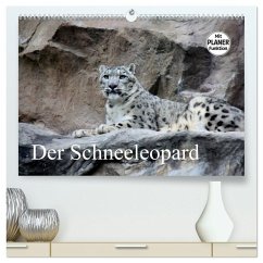Der Schneeleopard (hochwertiger Premium Wandkalender 2026 DIN A2 quer), Kunstdruck in Hochglanz Der Schneeleopard (hochwertiger Premium Wandkalender 2026 DIN A2 quer), Kunstdruck in Hochglanz