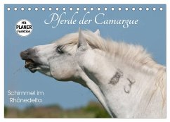Pferde der Camargue - Schimmel im Rhônedelta (Tischkalender 2026 DIN A5 quer), CALVENDO Monatskalender