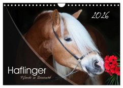 Haflinger-Pferde in Reinzucht (Wandkalender 2026 DIN A4 quer), CALVENDO Monatskalender