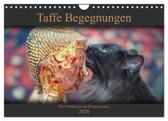 Taffe Begegnungen-Drei Waldkatzen auf Abenteuerreisen (Wandkalender 2026 DIN A4 quer), CALVENDO Monatskalender