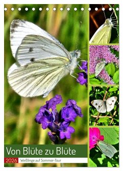 Cover Von Blüte zu Blüte - Weißlinge auf Sommer-Tour (Tischkalender 2026 DIN A5 hoch), CALVENDO Monatskalender