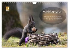 Cover Eichhörnchen - Lustige Kurzgeschichten mit den quirligen Wildtieren (Wandkalender 2026 DIN A4 quer), CALVENDO Monatskalender