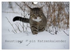 Cover Haustiger - Ein Katzenkalender (Wandkalender 2026 DIN A4 quer), CALVENDO Monatskalender