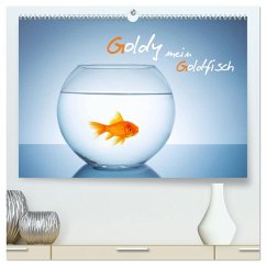 Cover Goldy - mein Goldfisch (hochwertiger Premium Wandkalender 2026 DIN A2 quer), Kunstdruck in Hochglanz