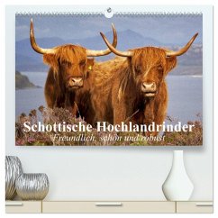 Schottische Hochlandrinder. Freundlich, schön und robust (hochwertiger Premium Wandkalender 2026 DIN A2 quer), Kunstdruck in Hochglanz