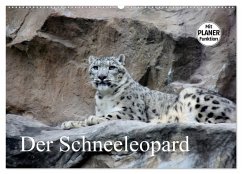 Der Schneeleopard (Wandkalender 2026 DIN A2 quer), CALVENDO Monatskalender