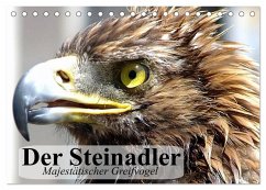 Der Steinadler. Majestätischer Greifvogel (Tischkalender 2026 DIN A5 quer), CALVENDO Monatskalender