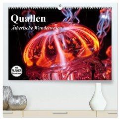 Cover Quallen. Ätherische Wunderwesen (hochwertiger Premium Wandkalender 2026 DIN A2 quer), Kunstdruck in Hochglanz