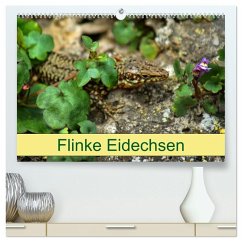 Cover Flinke Eidechsen (hochwertiger Premium Wandkalender 2026 DIN A2 quer), Kunstdruck in Hochglanz