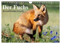 Der Fuchs. Bezaubernder Geselle (Wandkalender 2026 DIN A4 quer), CALVENDO Monatskalender