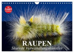 Cover Raupen. Skurrile Verwandlungskünstler (Wandkalender 2026 DIN A4 quer), CALVENDO Monatskalender