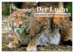 Cover Der Luchs. Pinselohren und Bernsteinaugen (Wandkalender 2026 DIN A2 quer), CALVENDO Monatskalender