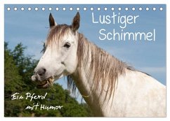 Lustiger Schimmel - ein Pferd mit Humor (Tischkalender 2026 DIN A5 quer), CALVENDO Monatskalender Lustiger Schimmel - ein Pferd mit Humor (Tischkalender 2026 DIN A5 quer), CALVENDO Monatskalender