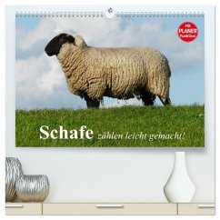 Cover Schafe zählen leicht gemacht! (hochwertiger Premium Wandkalender 2026 DIN A2 quer), Kunstdruck in Hochglanz