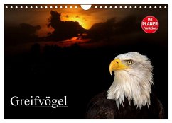 Cover Greifvögel (Wandkalender 2026 DIN A4 quer), CALVENDO Monatskalender