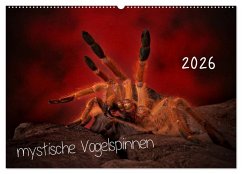 Mystische Vogelspinnen (Wandkalender 2026 DIN A2 quer), CALVENDO Monatskalender