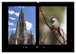 Cover Ulmer Spatzen (Wandkalender 2026 DIN A2 quer), CALVENDO Monatskalender