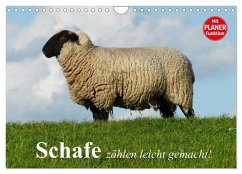 Cover Schafe zählen leicht gemacht! (Wandkalender 2026 DIN A4 quer), CALVENDO Monatskalender