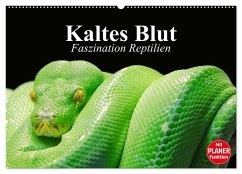 Kaltes Blut. Faszination Reptilien (Wandkalender 2026 DIN A2 quer), CALVENDO Monatskalender