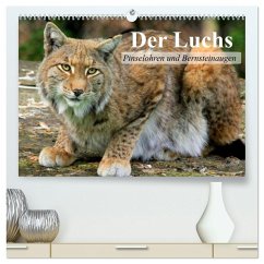 Cover Der Luchs. Pinselohren und Bernsteinaugen (hochwertiger Premium Wandkalender 2026 DIN A2 quer), Kunstdruck in Hochglanz