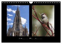 Cover Ulmer Spatzen (Wandkalender 2026 DIN A4 quer), CALVENDO Monatskalender