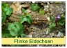 Flinke Eidechsen (Wandkalender 2026 DIN... - Bild 1