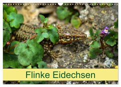 Cover Flinke Eidechsen (Wandkalender 2026 DIN A3 quer), CALVENDO Monatskalender