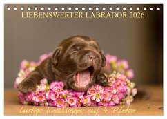 Liebenswerter Labrador 2026 (Tischkalender 2026 DIN A5 quer), CALVENDO Monatskalender