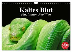 Kaltes Blut. Faszination Reptilien (Wandkalender 2026 DIN A4 quer), CALVENDO Monatskalender