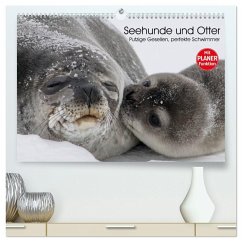 Cover Seehunde und Otter. Putzige Gesellen, perfekte Schwimmer (hochwertiger Premium Wandkalender 2026 DIN A2 quer), Kunstdruck in Hochglanz