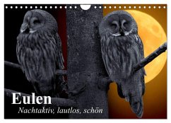 Cover Eulen. Nachtaktiv, lautlos, schön (Wandkalender 2026 DIN A4 quer), CALVENDO Monatskalender