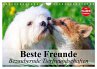 Beste Freunde. Bezaubernde... - Bild 1
