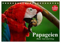 Papageien. Bunt, laut und klug (Tischkalender 2026 DIN A5 quer), CALVENDO Monatskalender