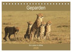 Geparden - Ein Leben in Afrika (Tischkalender 2026 DIN A5 quer), CALVENDO Monatskalender Geparden - Ein Leben in Afrika (Tischkalender 2026 DIN A5 quer), CALVENDO Monatskalender