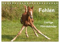 Fohlen - Lustige Pferdekinder (Tischkalender 2026 DIN A5 quer), CALVENDO Monatskalender