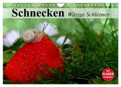 Schnecken. Witzige Schleimer (Wandkalender 2026 DIN A4 quer), CALVENDO Monatskalender Schnecken. Witzige Schleimer (Wandkalender 2026 DIN A4 quer), CALVENDO Monatskalender