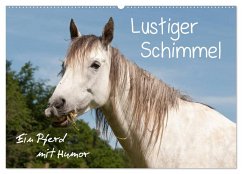 Lustiger Schimmel - ein Pferd mit Humor (Wandkalender 2026 DIN A2 quer), CALVENDO Monatskalender