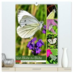 Cover Von Blüte zu Blüte - Weißlinge auf Sommer-Tour (hochwertiger Premium Wandkalender 2026 DIN A2 hoch), Kunstdruck in Hochglanz