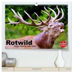 Rotwild. Edle Hirsche, stolze Kühe (hochwertiger Premium Wandkalender 2026 DIN A2 quer), Kunstdruck in Hochglanz Cover Rotwild. Edle Hirsche, stolze Kühe (hochwertiger Premium Wandkalender 2026 DIN A2 quer), Kunstdruck in Hochglanz