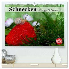 Schnecken. Witzige Schleimer (hochwertiger Premium Wandkalender 2026 DIN A2 quer), Kunstdruck in Hochglanz
