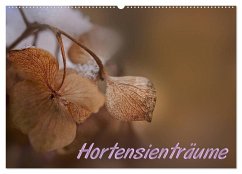 Hortensienträume (Wandkalender 2026 DIN A2 quer), CALVENDO Monatskalender