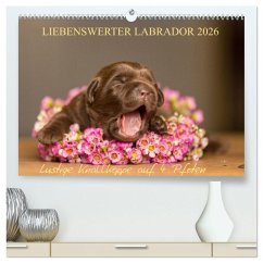 Liebenswerter Labrador 2026 (hochwertiger Premium Wandkalender 2026 DIN A2 quer), Kunstdruck in Hochglanz