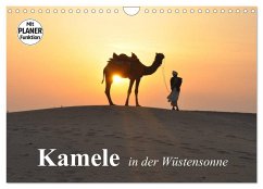 Cover Kamele in der Wüstensonne (Wandkalender 2026 DIN A4 quer), CALVENDO Monatskalender